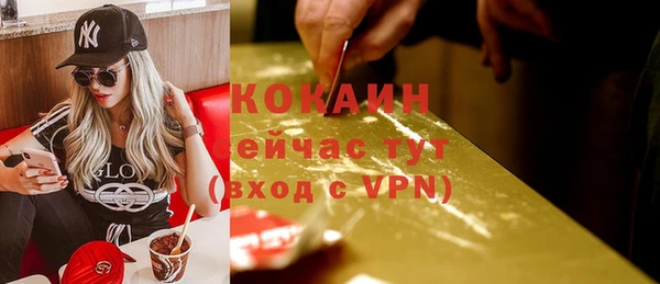 тгк Михайлов