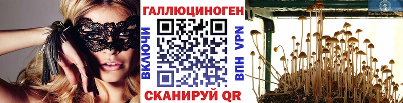 Псилоцибиновые грибы Psilocybine cubensis  Южно-Сухокумск 